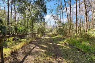 1054 Ranch Rd, Tarpon Springs, FL 34688 - Photo 36