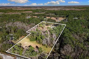 1054 Ranch Rd, Tarpon Springs, FL 34688 - Photo 38