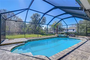 14738 Heronglen Dr, Lithia, FL 33547 - Photo 24