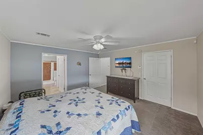 37519 Corey Lewis Avenue, Zephyrhills, FL 33541 - Photo 30