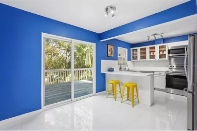 514 Wideview Avenue, Tarpon Springs, FL 34689 - Photo 28