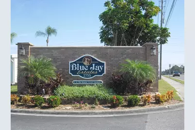 105 Pinebark Drive, Palm Harbor, FL 34684 - Photo 22