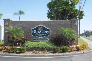 105 Pinebark Dr, Palm Harbor, FL 34684 - Photo 22