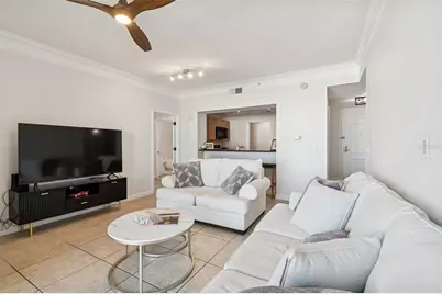 345 Bayshore Boulevard #906, Tampa, FL 33606 - Photo 10