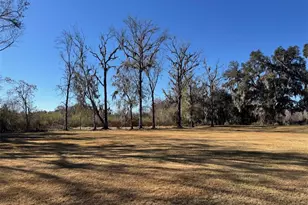 38706 River Rd, Dade City, FL 33525 - Photo 30