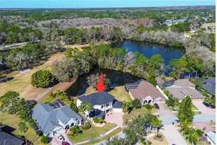 15906 Prince William Pl, Odessa, FL 33556 - Photo 70