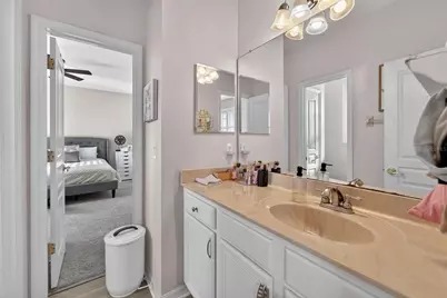 5241 Brighton Shore Drive, Apollo Beach, FL 33572 - Photo 56