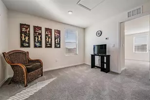 2858 Star Anise Ln, Wimauma, FL 33598 - Photo 28