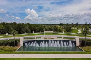 9828 Branching Ship Trce, Wesley Chapel, FL 33545 - Photo 32