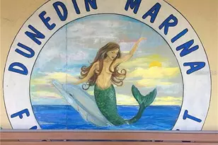 2351 Irish Ln, Clearwater, FL 33763 - Photo 36