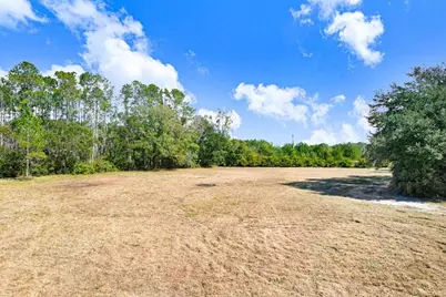 17308 Tobacco Road, Lutz, FL 33558 - Photo 30