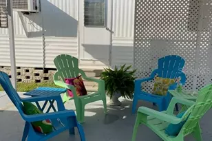 8666 44th Ave N, Saint Petersburg, FL 33709 - Photo 6