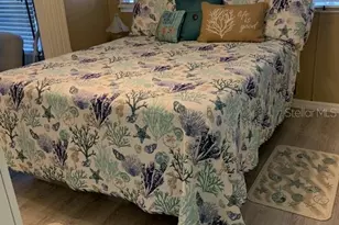 8666 44th Ave N, Saint Petersburg, FL 33709 - Photo 4