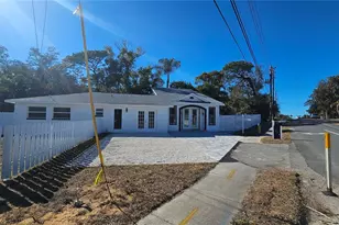 1092 N Florida Ave, Tarpon Springs, FL 34689 - Photo 4