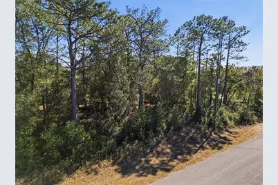 2780 W Elgin Place, Citrus Springs, FL 34434 - Photo 10