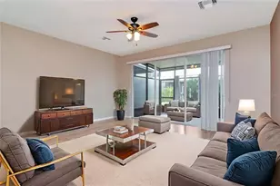 10132 Pink Palmata Ct, Riverview, FL 33578 - Photo 18