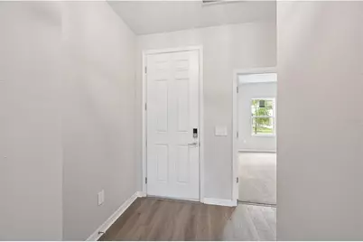 5924 Fresh Flora Drive, Wimauma, FL 33598 - Photo 4