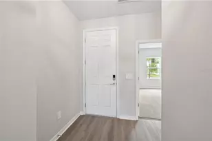5924 Fresh Flora Dr, Wimauma, FL 33598 - Photo 4
