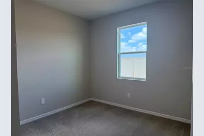 5918 Fresh Flora Drive, Wimauma, FL 33598 - Photo 20