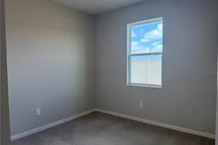 5918 Fresh Flora Dr, Wimauma, FL 33598 - Photo 20