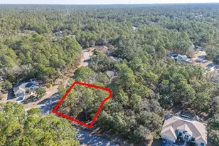 30 Bells of Ireland Ct, Homosassa, FL 34446 - Photo 8