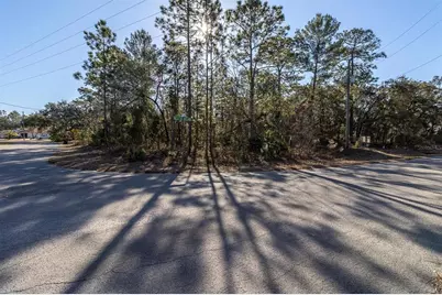 30 Bells Of Ireland Court, Homosassa, FL 34446 - Photo 10