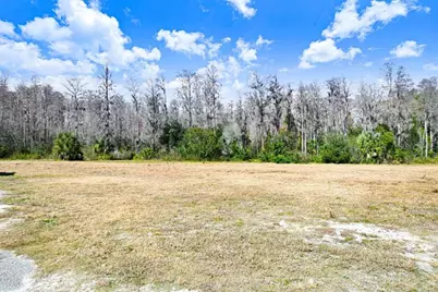 1st, Lutz, FL 33558 - Photo 12