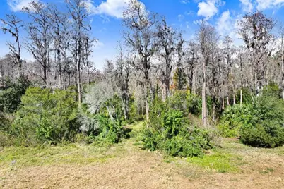 1st, Lutz, FL 33558 - Photo 14