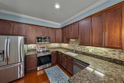 6411 Mayra Shores Lane, Apollo Beach, FL 33572 - Photo 34