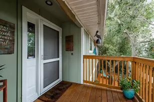 737 Ohio Ave, Palm Harbor, FL 34683 - Photo 4