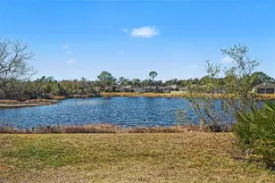 18048 Arbor Crest Dr, Tampa, FL 33647 - Photo 30