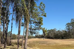 5600 S Sparrow Hawk Ct, Zephyrhills, FL 33541 - Photo 28