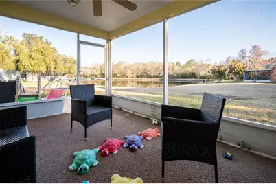 27350 New Smyrna Drive, Wesley Chapel, FL 33544 - Photo 24