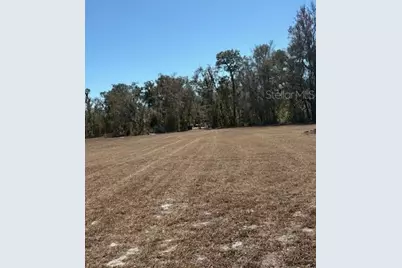 19128 Dorman Road, Lithia, FL 33547 - Photo 8