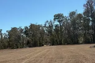 19128 Dorman Rd, Lithia, FL 33547 - Photo 8