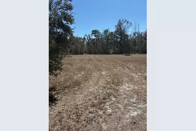 19128 Dorman Road, Lithia, FL 33547 - Photo 6