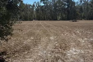 19128 Dorman Rd, Lithia, FL 33547 - Photo 6