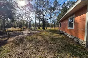8521 Ehren Cutoff, Land O Lakes, FL 34639 - Photo 8