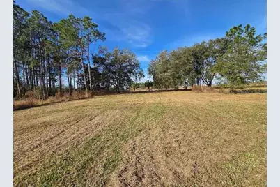 8521 Ehren Cutoff, Land O Lakes, FL 34639 - Photo 16