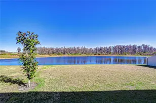 10422 Gliding Eagle Wy, Land O Lakes, FL 34638 - Photo 46