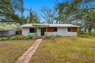 11316 Hutchens Ave, Odessa, FL 33556 - Photo 1