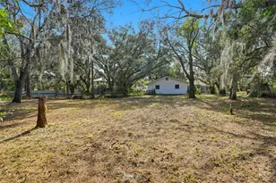 11316 Hutchens Ave, Odessa, FL 33556 - Photo 54