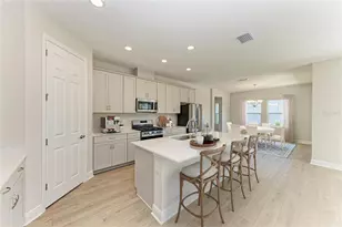 8502 Dove Bog Ter, Parrish, FL 34219 - Photo 2