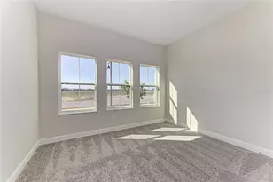 10858 Spring Sapling Cir, Parrish, FL 34219 - Photo 24