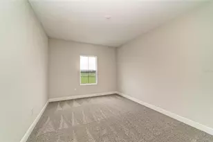 10858 Spring Sapling Cir, Parrish, FL 34219 - Photo 42