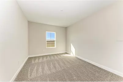 10858 Spring Sapling Circle, Parrish, FL 34219 - Photo 28