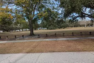 1012 W Adalee St, Tampa, FL 33603 - Photo 2