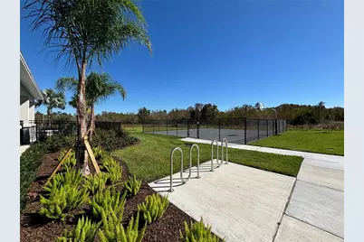 17254 Ashe Juniper Lane, Land O Lakes, FL 34638 - Photo 58