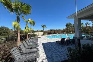 17254 Ashe Juniper Ln, Land O Lakes, FL 34638 - Photo 54