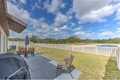 12619 Lemon Pepper Drive, Riverview, FL 33578 - Photo 6